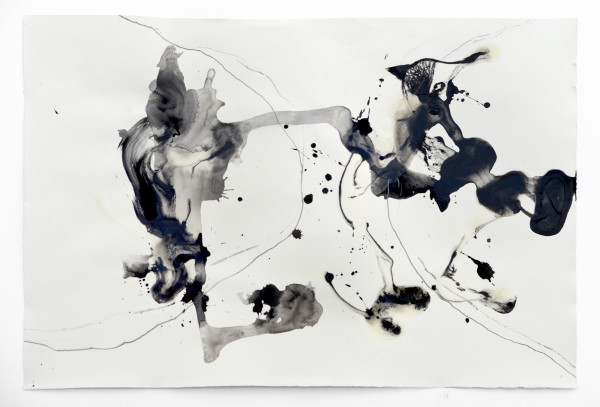 08_Entfaltungen V, Graphit und Tusche auf Papier, 50 x 80 cm, 2018